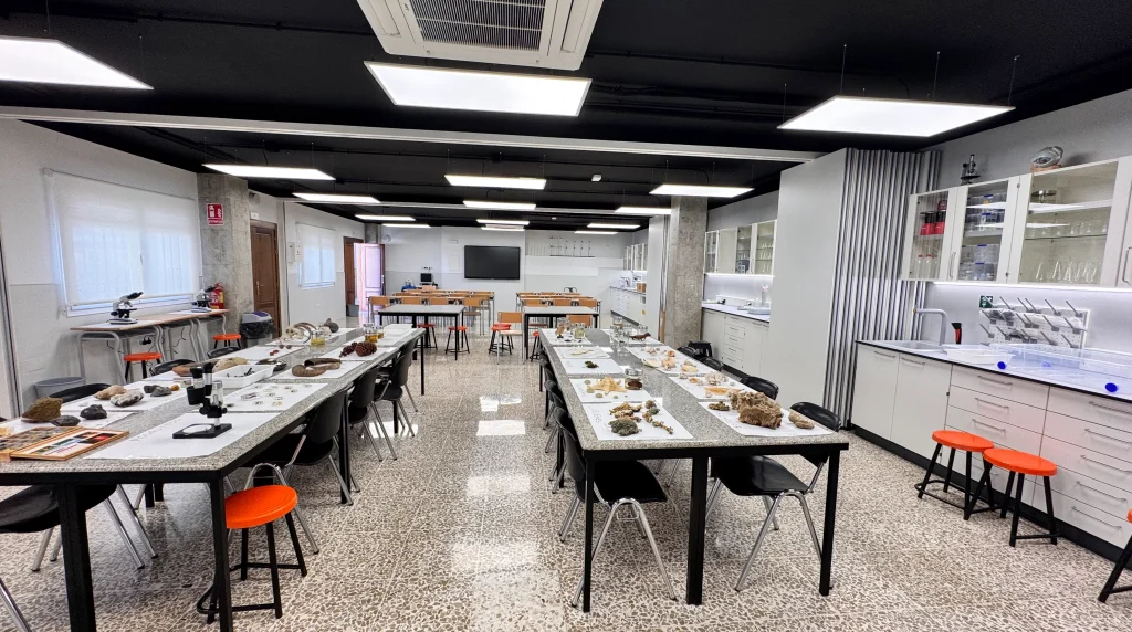 Colegio laboratorio salliver 1 - Eva Marketing