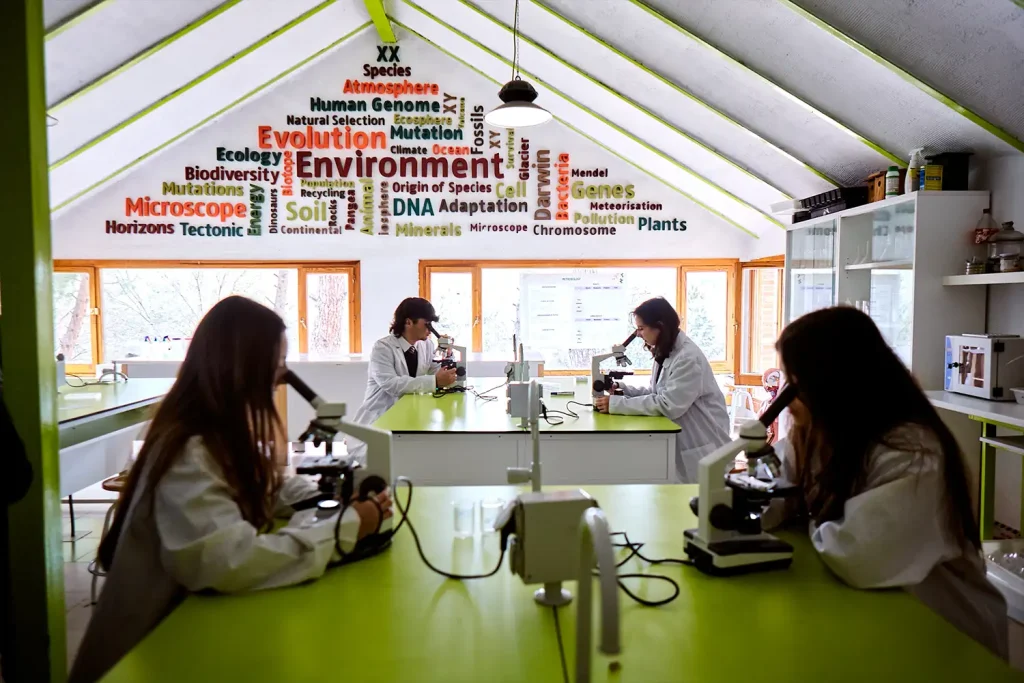 SEK International School El Castillo