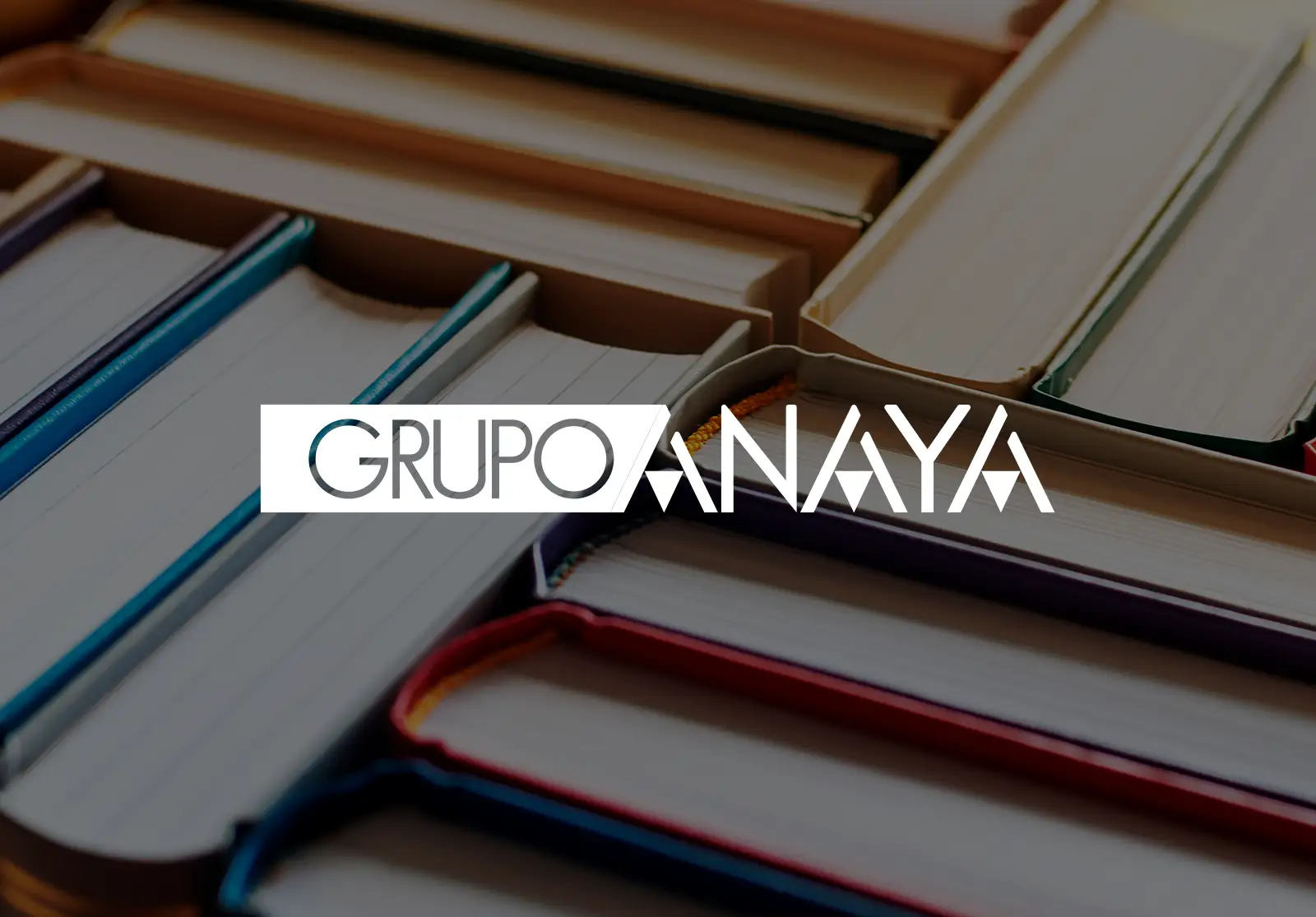 grupo anaya